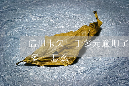 信用卡欠一千多元逾期了(信用卡逾期欠一萬多會怎么樣)