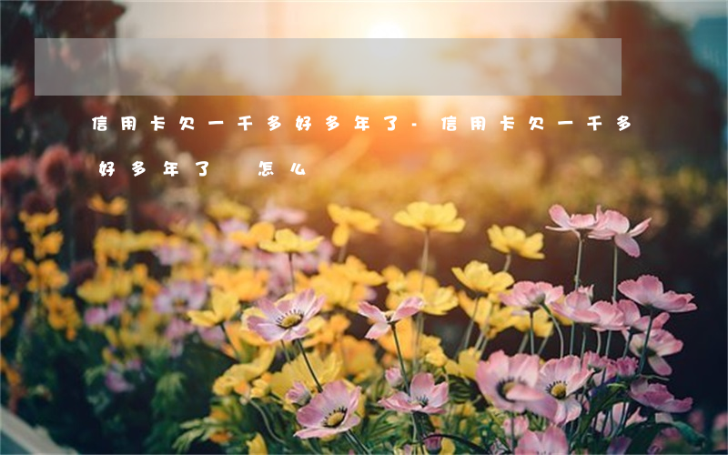信用卡欠一千多好多年了-信用卡欠一千多好多年了會怎么樣