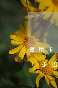 信用卡欠一千多逾期 欠信用卡一萬(wàn)多逾期一年了