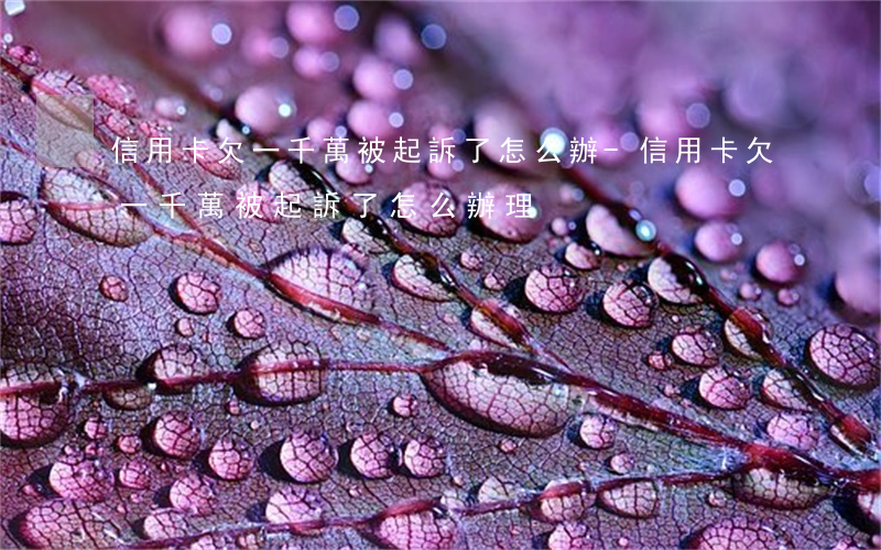 信用卡欠一千萬被起訴了怎么辦-信用卡欠一千萬被起訴了怎么辦理