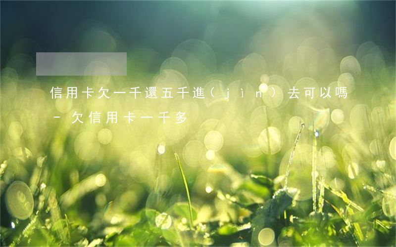 信用卡欠一千還五千進(jìn)去可以嗎-欠信用卡一千多
