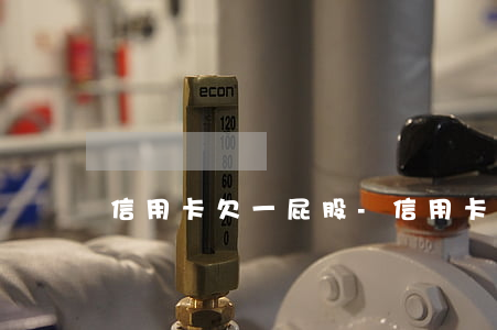 信用卡欠一屁股-信用卡欠一屁股外债