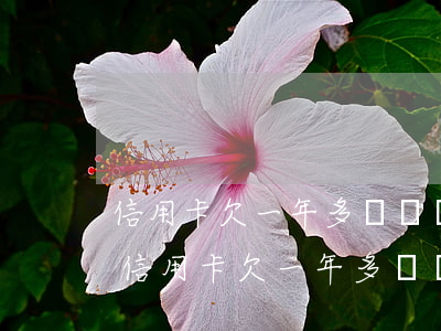 信用卡欠一年多沒還還能補(bǔ)救嗎-信用卡欠一年多沒還還能補(bǔ)救嗎多少錢