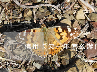 信用卡欠一年怎么辦(信用卡欠一年怎么辦)