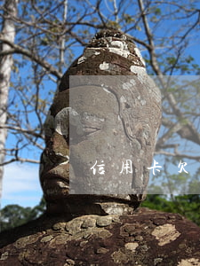 信用卡欠一年想還款