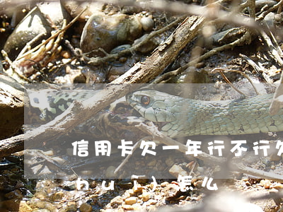 信用卡欠一年行不行(欠信用卡一年不還會(huì)怎么樣)