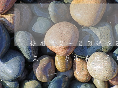 信用卡欠一百万现在还不上怎么办-信用卡欠一百万现在还不上怎么办呢