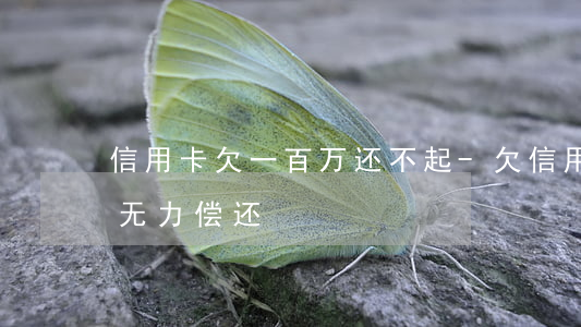 信用卡欠一百万还不起-欠信用卡100万无力偿还