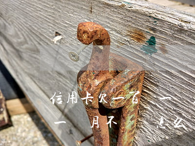 信用卡欠一百塊一個月不還(信用卡欠一百塊一個月不還會怎么樣)