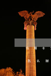 信用卡欠一百萬天涯 欠信用卡一百萬還不起怎么辦
