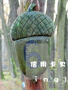 信用卡欠一萬(wàn)元能不能申請(qǐng)降額-信用卡欠一萬(wàn)元能不能申請(qǐng)降額度呢