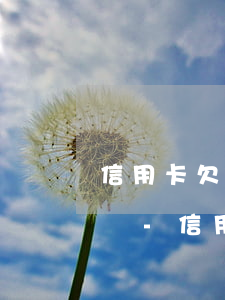 信用卡欠一萬(wàn)多塊錢還不上怎么辦-信用卡欠一萬(wàn)多塊錢還不上怎么辦呢