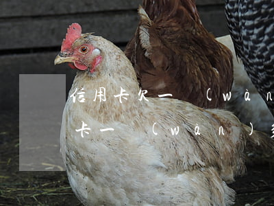 信用卡欠一萬(wàn)多的圖片-欠信用卡一萬(wàn)多塊錢(qián)會(huì)坐牢嗎