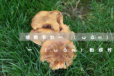 信用卡欠一萬(wàn)如何分期(信用卡欠一萬(wàn)如何分期付款)