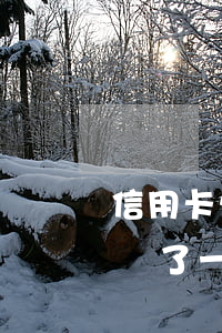 信用卡欠一萬(wàn)已經(jīng)還了(一萬(wàn)的信用卡如果還10萬(wàn)會(huì)怎么樣)