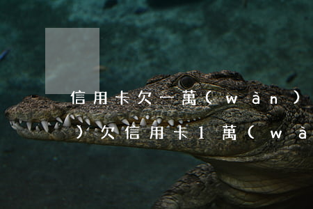 信用卡欠一萬(wàn)滾到五萬(wàn) 欠信用卡1萬(wàn)5會(huì)怎么樣