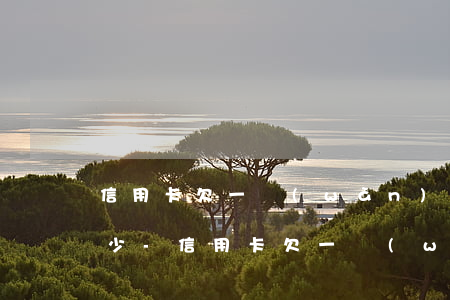 信用卡欠一萬(wàn)逾期一年需要還多少-信用卡欠一萬(wàn)逾期一年需要還多少錢
