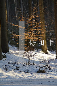 信用卡欠一萬(wàn)逾期十年還多少(欠信用卡10萬(wàn)逾期兩年)