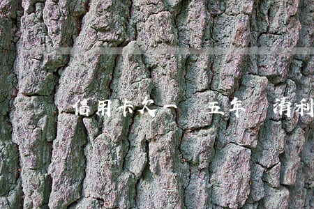 信用卡欠一萬五年還清利息多少-