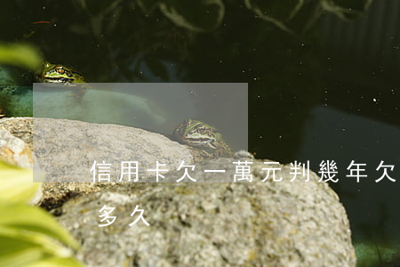 信用卡欠一萬元判幾年 欠信用卡一萬多會判多久