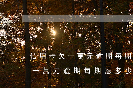 信用卡欠一萬元逾期每期漲多少-信用卡欠一萬元逾期每期漲多少利息