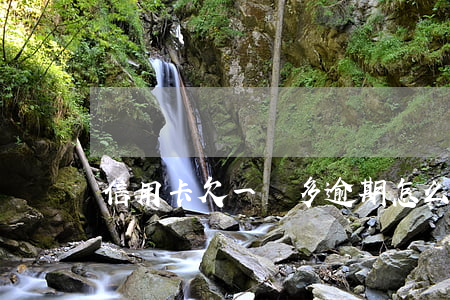信用卡欠一萬多逾期怎么辦