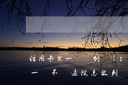 信用卡欠一萬強制執(zhí)行(欠信用卡一萬不還法院怎么判)