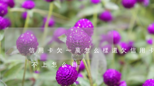 信用卡欠一萬怎么樣還(欠信用卡一萬塊錢還不上怎么辦)