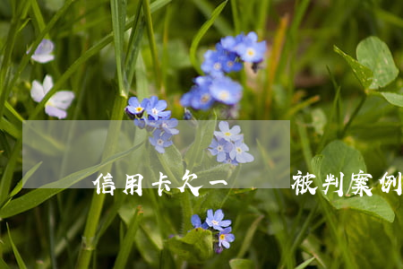 信用卡欠一萬會被判案例