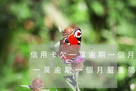 信用卡欠一萬逾期一個月嚴重嗎-信用卡欠一萬逾期一個月嚴重嗎怎么辦