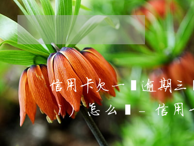 信用卡欠一萬逾期三個(gè)月會(huì)怎么樣-信用卡欠一萬逾期三個(gè)月會(huì)怎么樣嗎