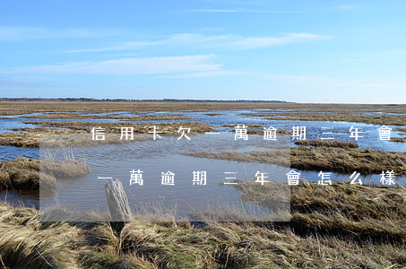 信用卡欠一萬逾期三年會怎么樣-信用卡欠一萬逾期三年會怎么樣嗎