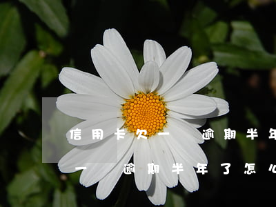 信用卡欠一萬逾期半年了怎么辦-信用卡欠一萬逾期半年了怎么辦呢