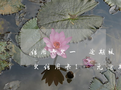 信用卡欠一萬逾期被資產(chǎn)保全(欠信用卡1萬元,逾期了會坐牢嗎?)