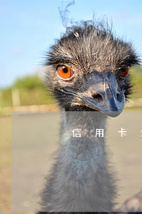 信用卡欠一萬還了兩萬