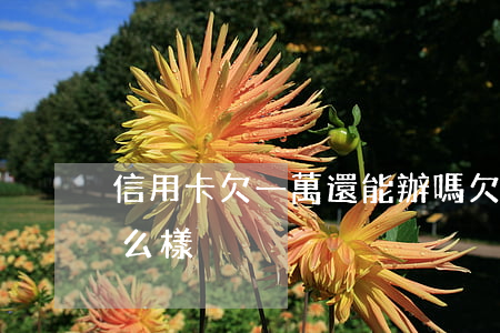 信用卡欠一萬還能辦嗎(欠信用卡一萬多會怎么樣)