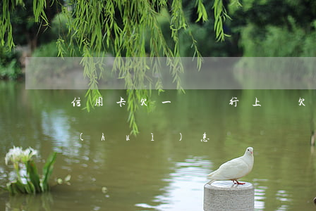 信用卡欠一萬銀行上門(欠信用卡上門來的會(huì)怎樣)