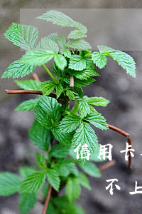信用卡欠七個月沒還(欠信用卡7千多元半年還不上會拘留嗎)