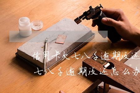 信用卡欠七八千逾期没还怎么办-信用卡欠七八千逾期没还怎么办呢