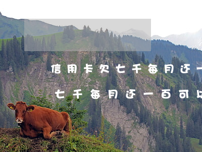 信用卡欠七千每月还一百可以吗-信用卡欠七千每月还一百可以吗