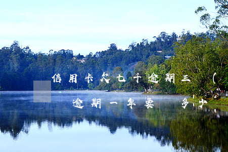 信用卡欠七千逾期三個(gè)月(信用卡7萬逾期一年要還多少)