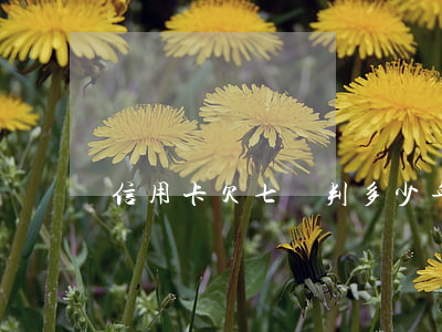 信用卡欠七萬判多少年-欠信用卡7萬