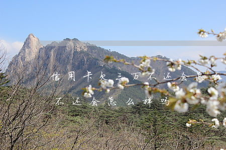 信用卡欠三万不还会怎么样-信用卡欠三万不还会怎么样吗