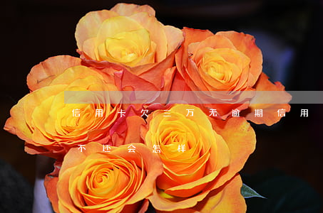 信用卡欠三万无逾期(信用卡3千多逾期一直不还会怎样)
