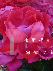 信用卡欠三个月能做飞机吗(信用卡欠三个月能做飞机吗)
