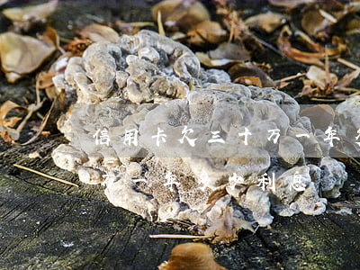 信用卡欠三十万一年多少利息 信用卡欠三十万一年多少利息