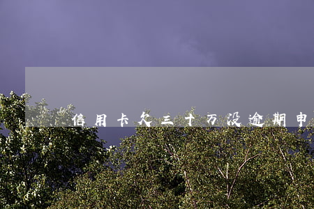 信用卡欠三十万没逾期申请车贷