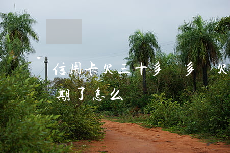 信用卡欠三十多萬多嗎(欠信用卡三十幾萬逾期了怎么辦)