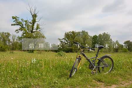 信用卡欠三千5年未还(信用卡欠三千5年未还)