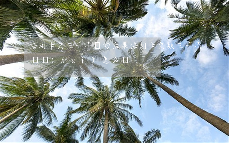 信用卡欠三千不還的后果(信用卡欠款三千不還會(huì)怎么樣)